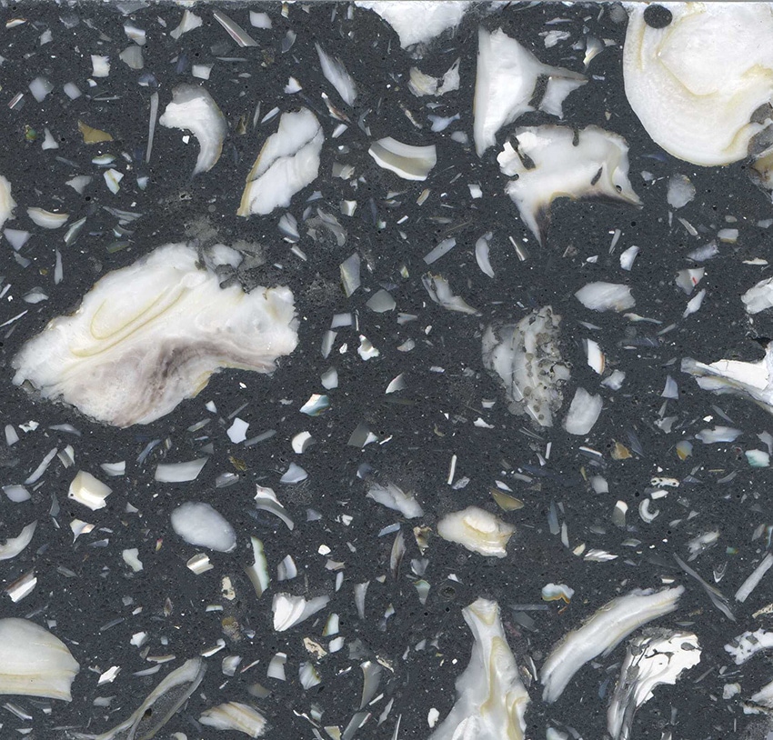 Read more about the article Black Oyster